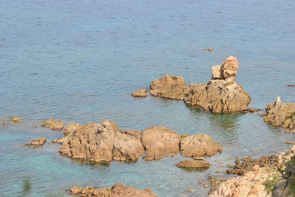 Ajaccio Splendide Vue Mer Exterior foto